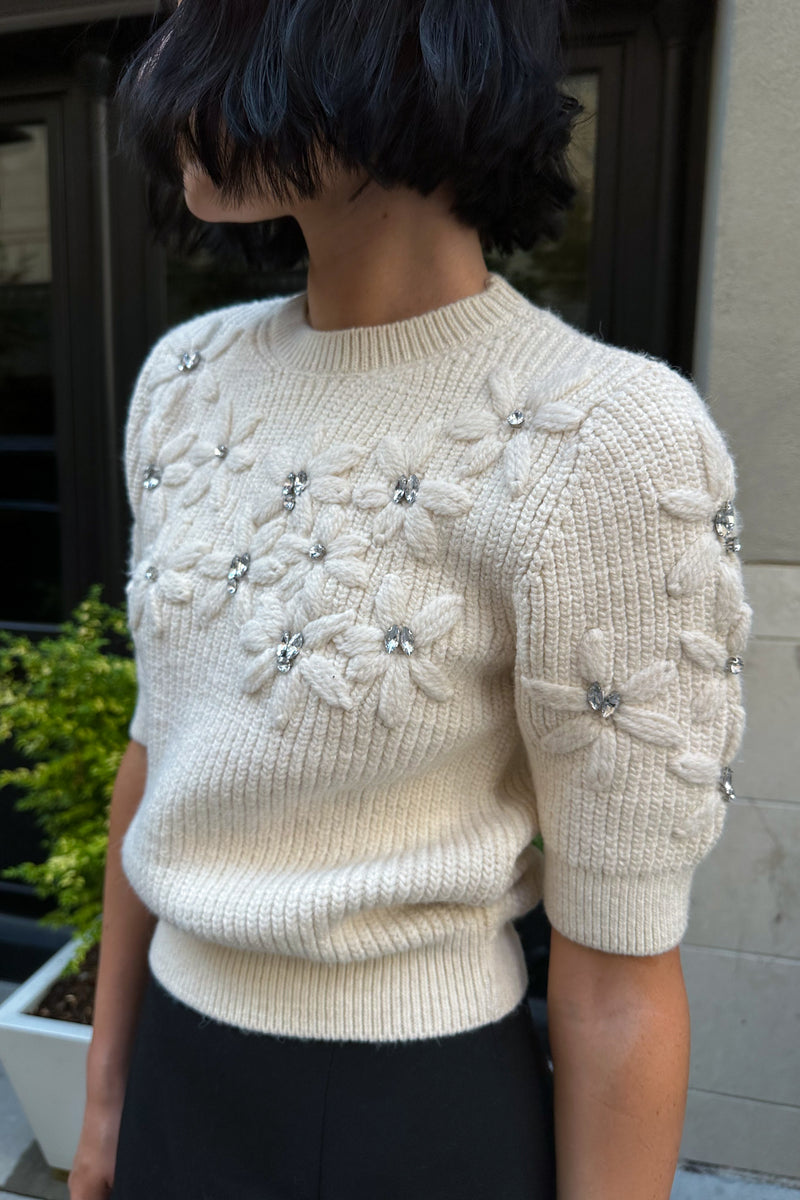 Novalee Short Sleeve Jewel Sweater