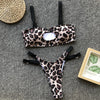 Leopard Two Piece Swimsuit